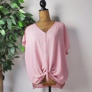 Hoity Toity Pastel Pink Sheer Button Up Blouse Medium